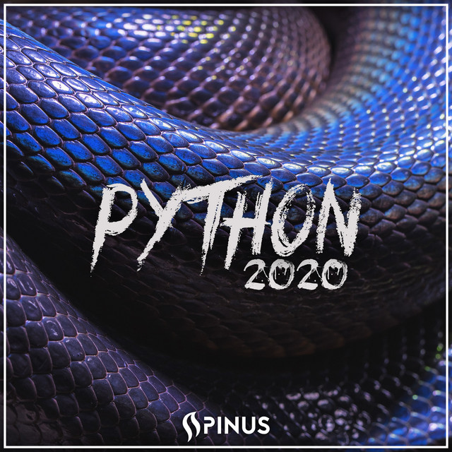Python 2020 cover art