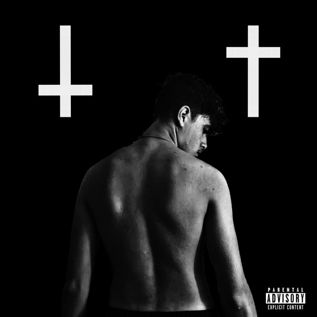 NO VANITY cover art