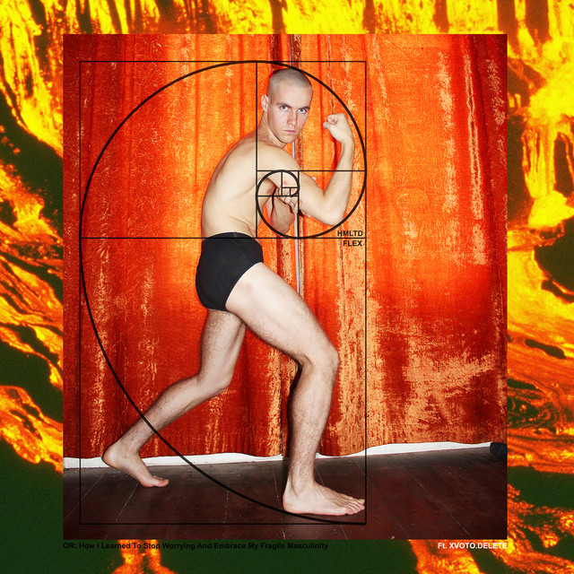 Flex cover art