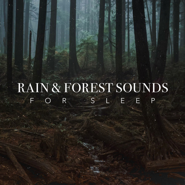 Rain & Forest Sounds for Sleep - Album by Rain for Deep Sleep | Spotify