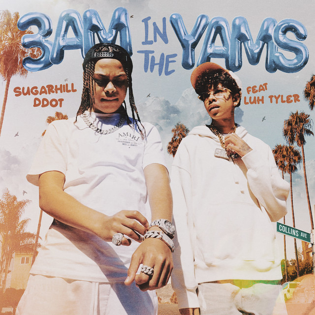 3AM in the Yams (feat. Luh Tyler)