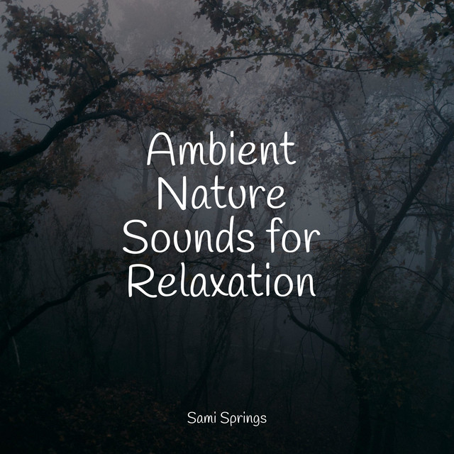 Ambient Nature Sounds for Relaxation cover art