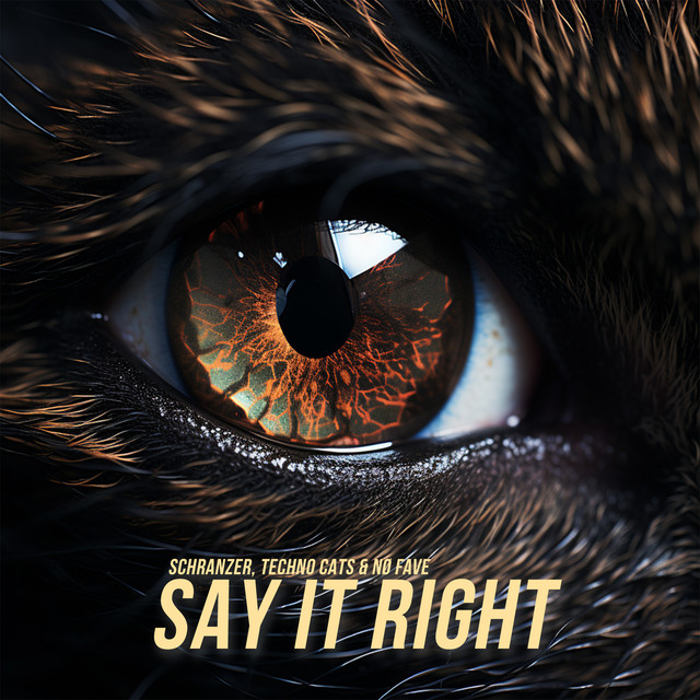 Say It Right - Schranz