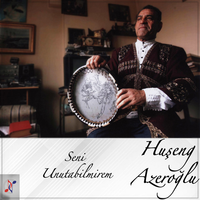 Seni Unutabilmirem cover art