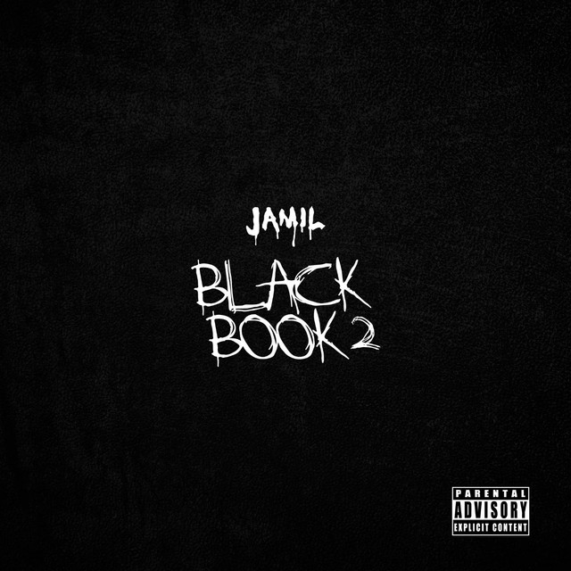 Black Book 2 cover art