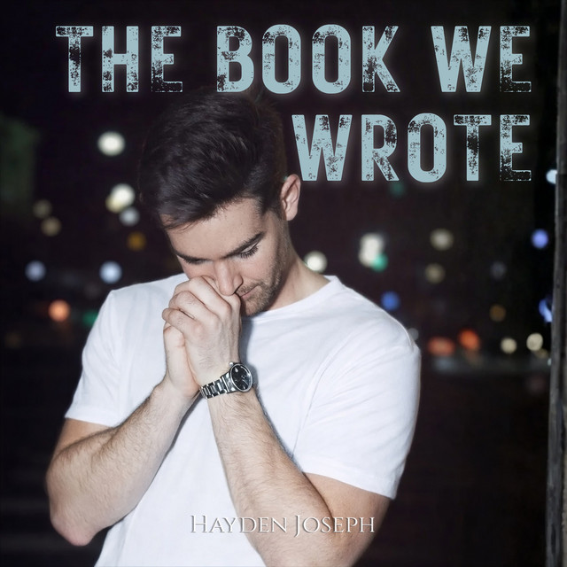 The Book We Wrote cover