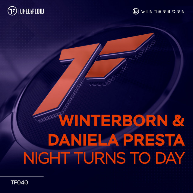 Night Turns to Day - Radio Mix cover art