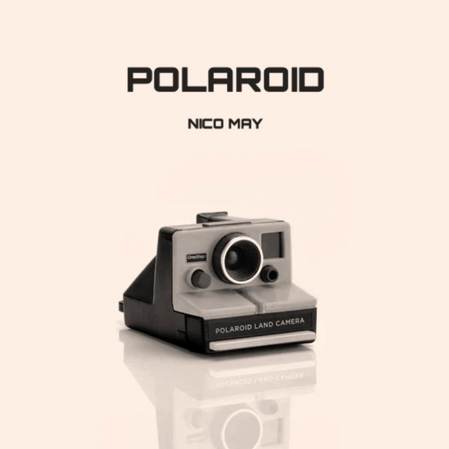 Polaroid cover art