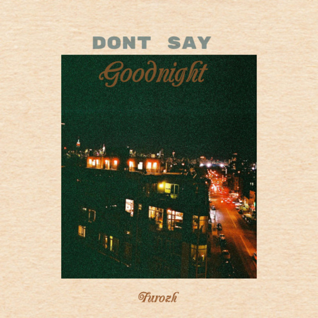 Dont Say Goodnight cover art