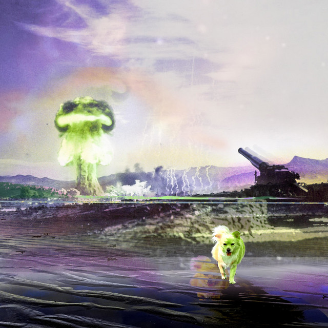 Hegemon cover