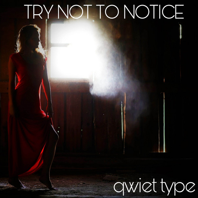 Try Not To Notice - song and lyrics by Qwiet Type | Spotify