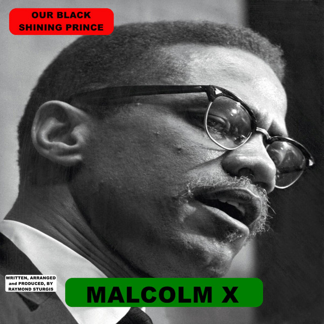 Malcolm X (Our Shining Black Prince)