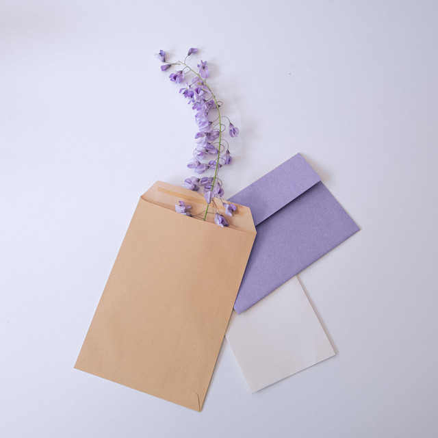 same day delivery cover art