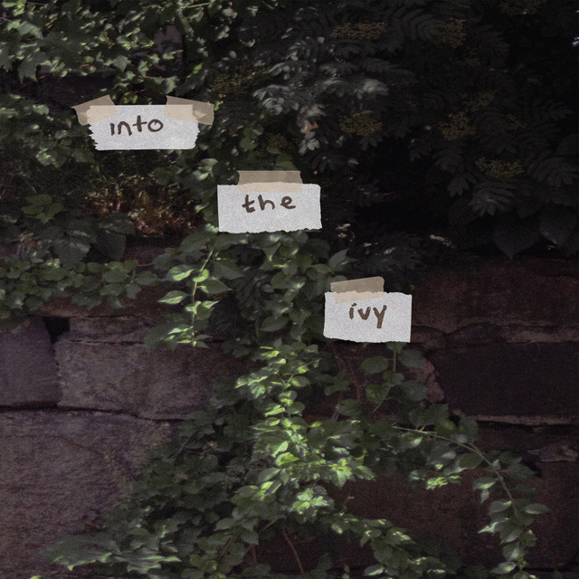 Into The Ivy cover art
