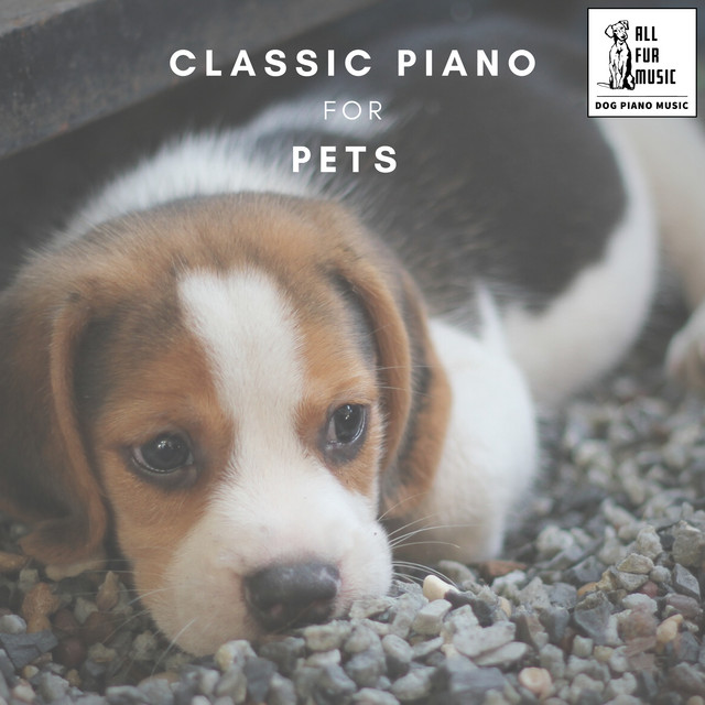 Classic Piano for Pets cover art