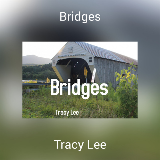 Bridges - Single by Tracy Lee | Spotify
