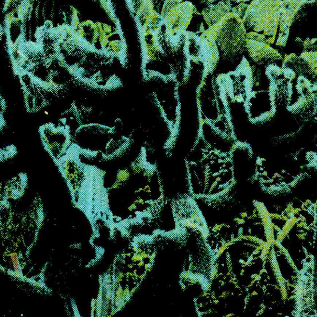 Locè cover art