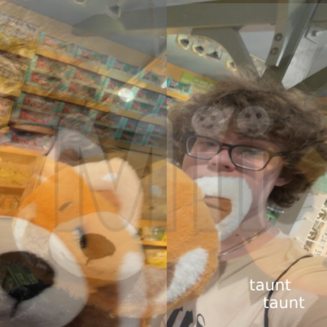 taunt cover art