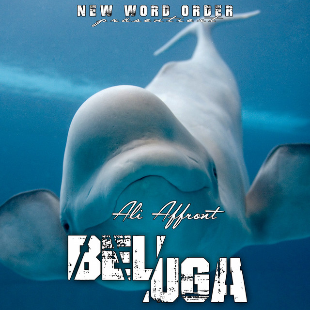 Beluga cover art
