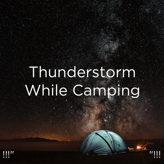 !!!" Thunderstorm While Camping "!!! cover art