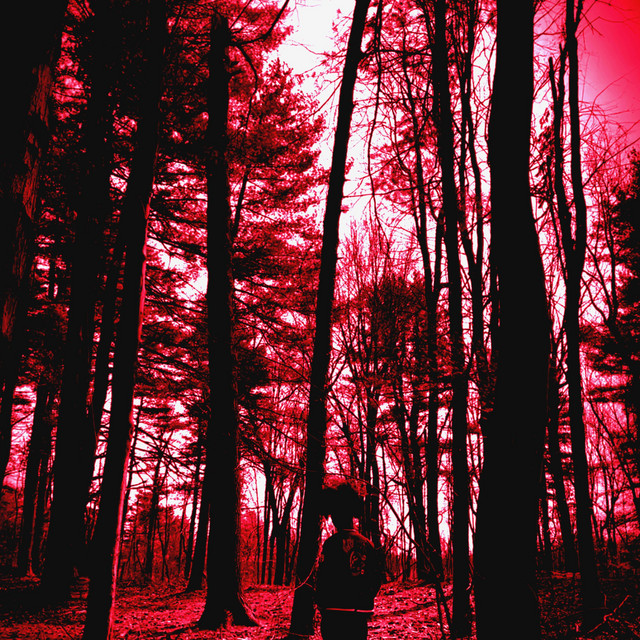 SUMMUM MALUM cover art