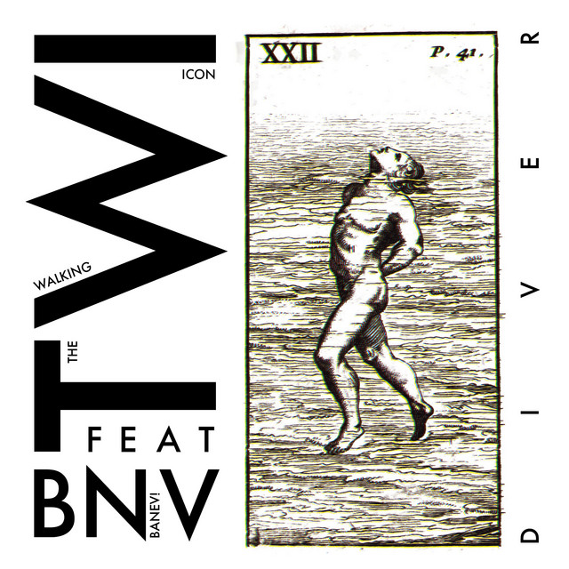 Diver cover