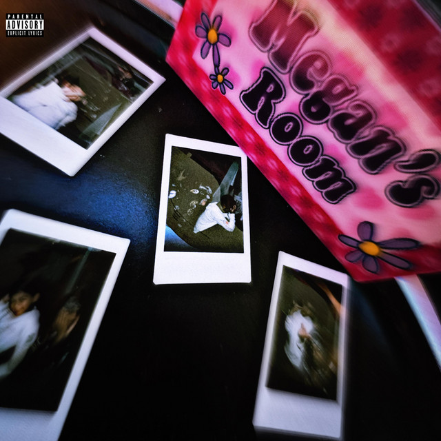 Megan's Room. cover art