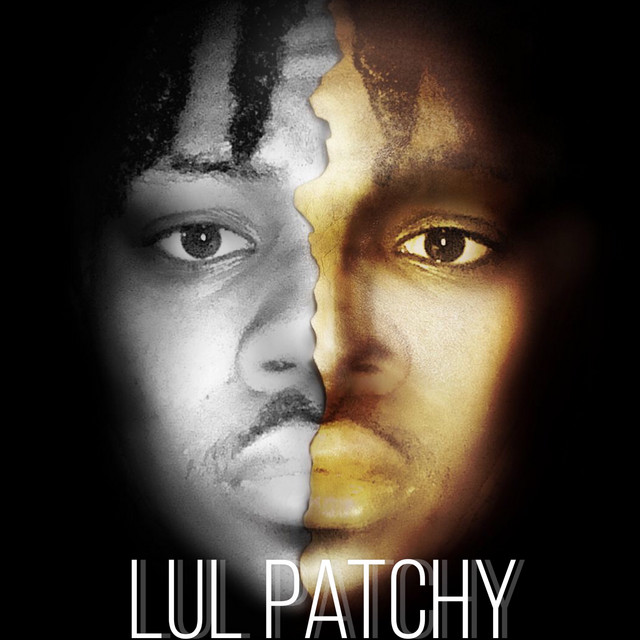 :): cover art
