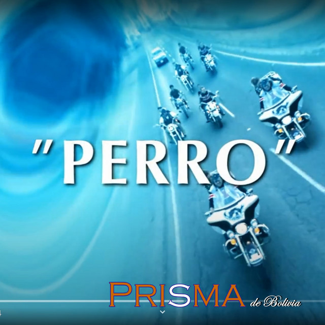 Perro