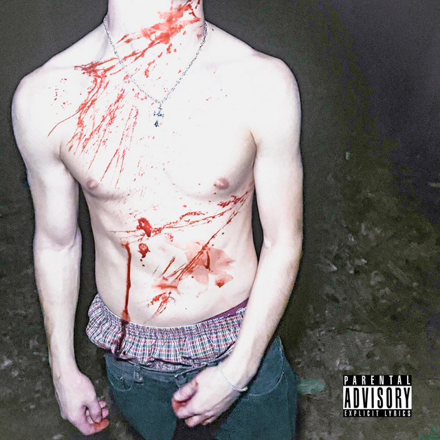 It's Midnight In The Woods cover art