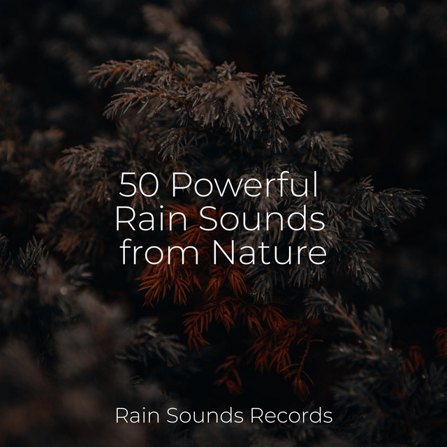50 Powerful Rain Sounds from Nature - Album by Sounds of Nature White ...