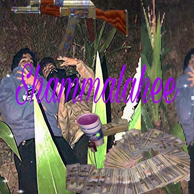 shammalahee cover art