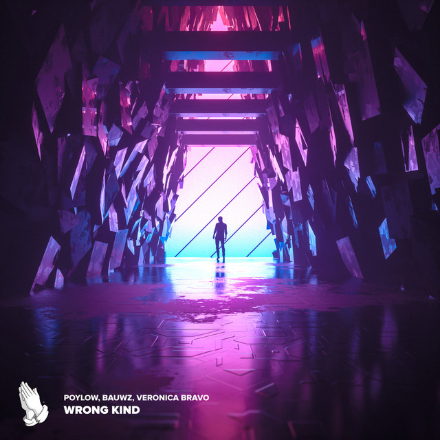 Wrong Kind cover art