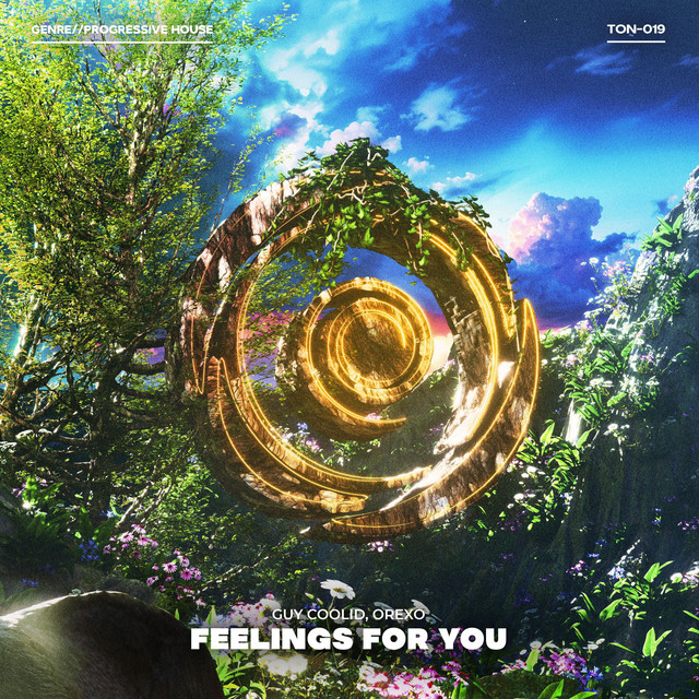Feelings For You