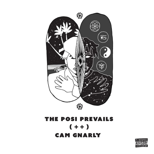 The Posi Prevails cover art
