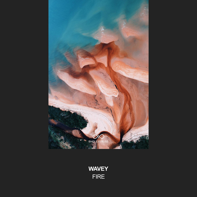 Fire - Single by Wavey | Spotify