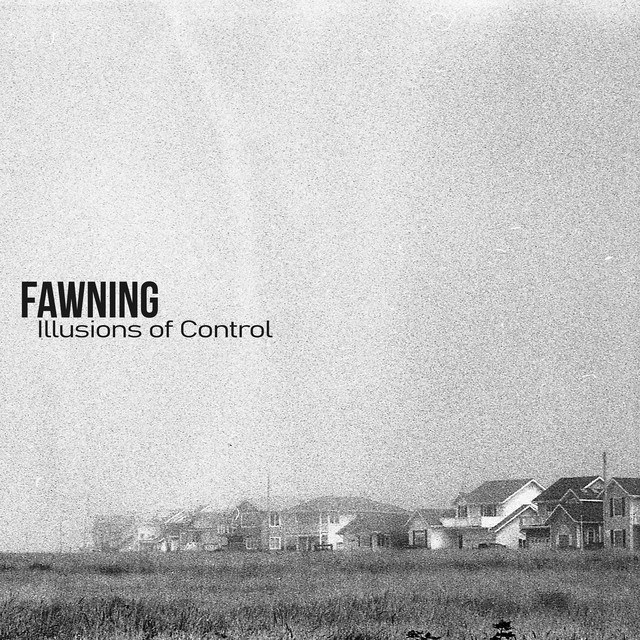 Illusions of Control cover art
