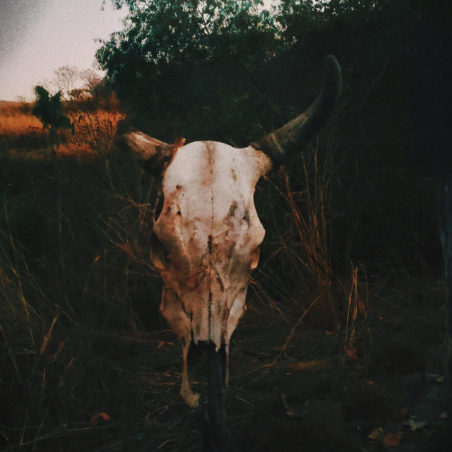 Gallops Of the End album image