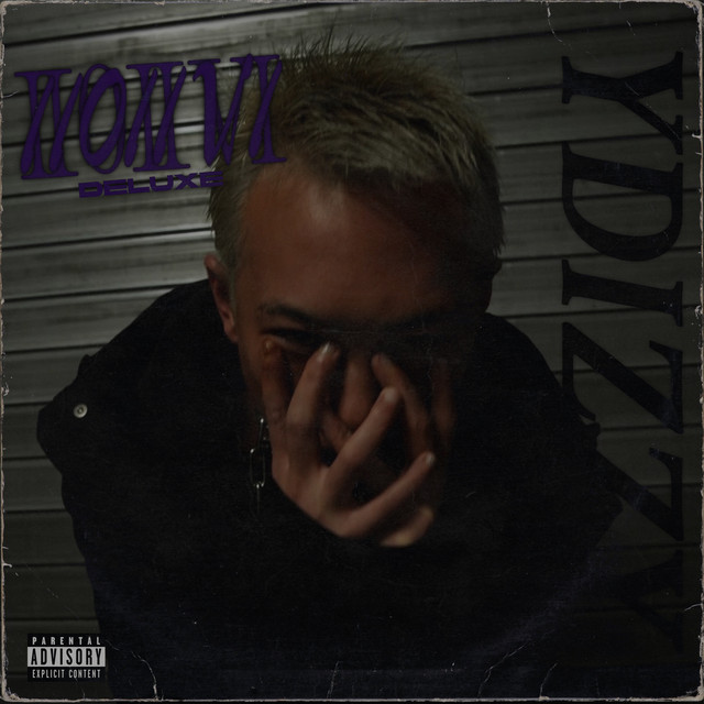 II0IIVI (Deluxe) cover art
