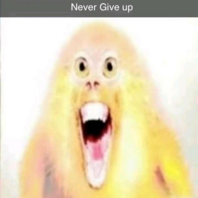 Never Give up cover art