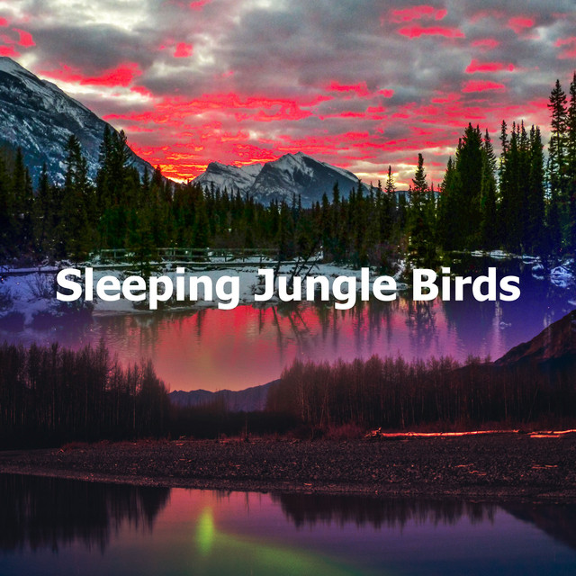 Sleeping Jungle Birds - Album by Deep Sleep Nature Sounds | Spotify