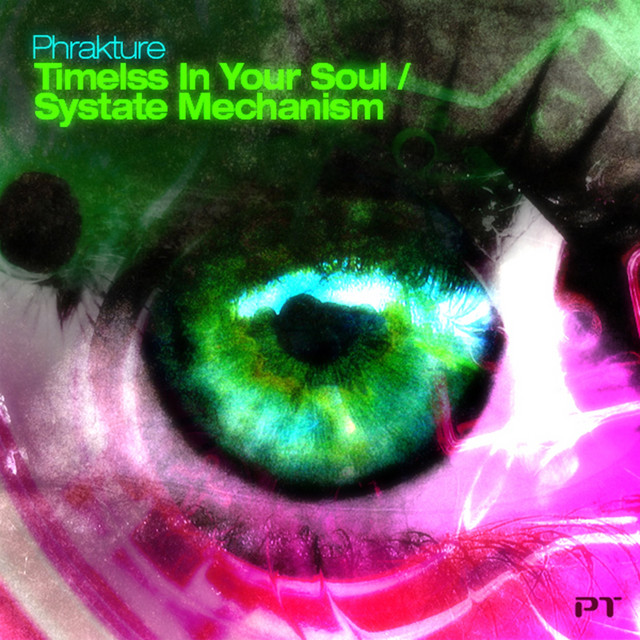 Systate Mechanism / Timeless in Your Soul cover art