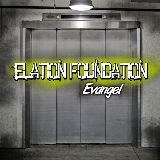 Elation Foundation cover art