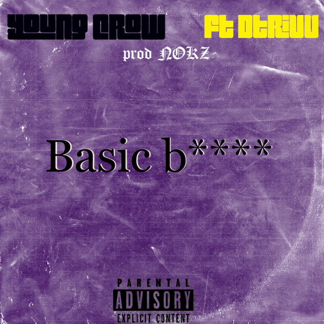 Basic bitch cover art