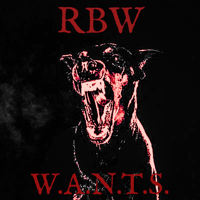 W.A.N.T.S. cover