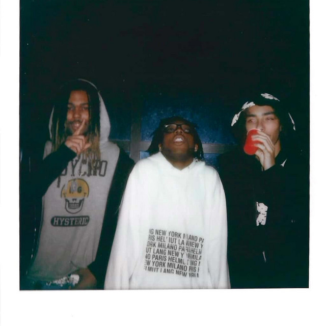 LA SHELLCATCHERS