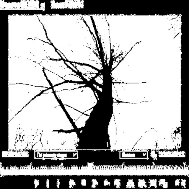 рёбра.mp3