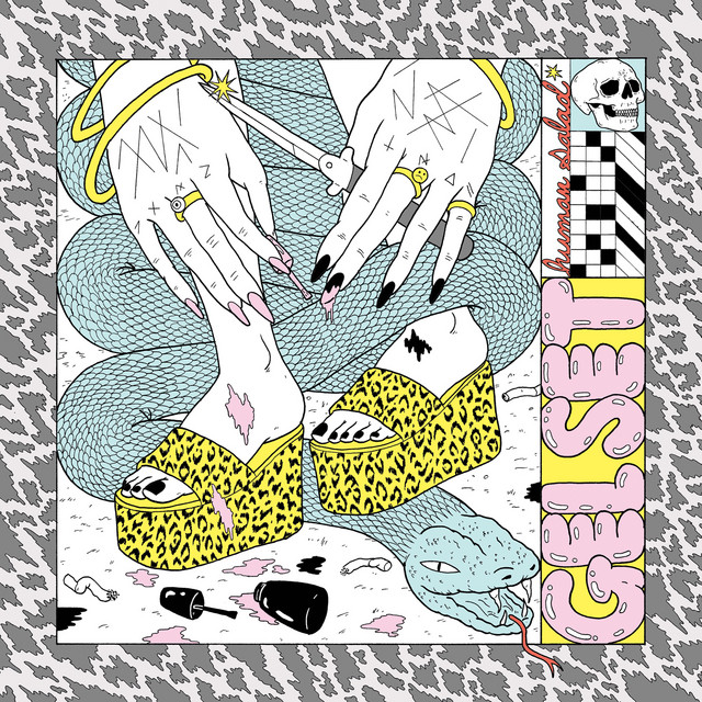 Human Salad cover art