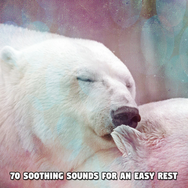 70 Soothing Sounds For An Easy Rest - Album by Sounds Of Nature | Spotify