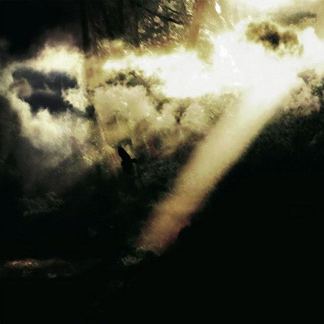 Immanence cover